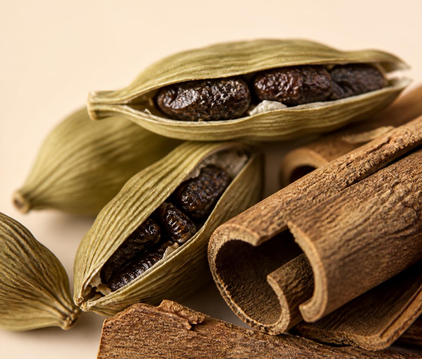 Macro study of cardamom pods and cinnamon bark